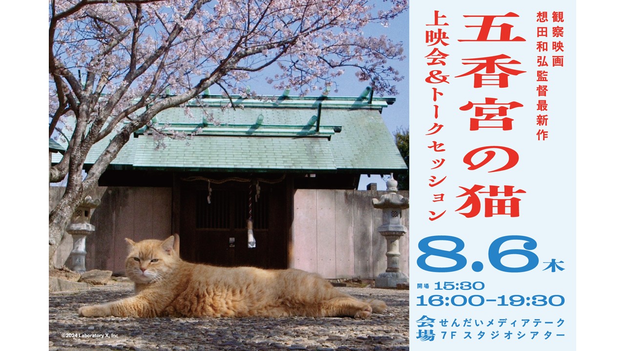 五香宮の猫